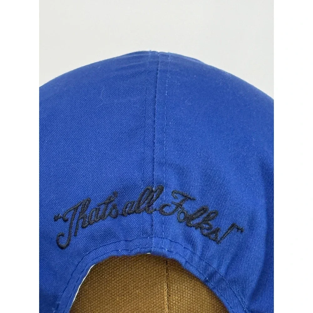 VTG Looney  Tunes Hat Cap Sylvester Tweety Blue Black Color-block  1993 SnapBack